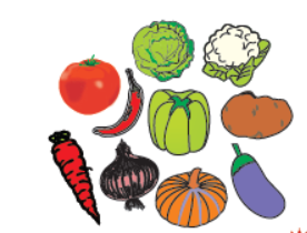 Magnetic cutout vegetables