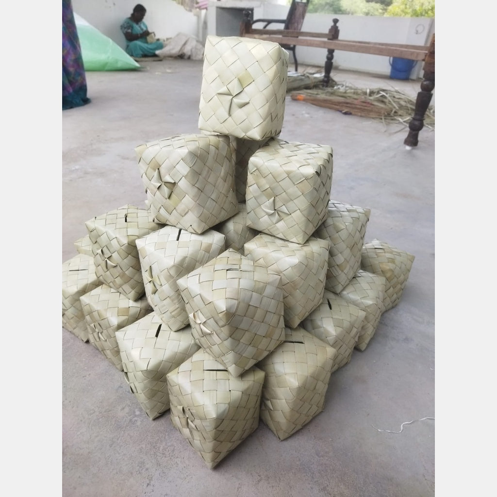 Palm undiyal (piggy bank)~ Size: 4*5